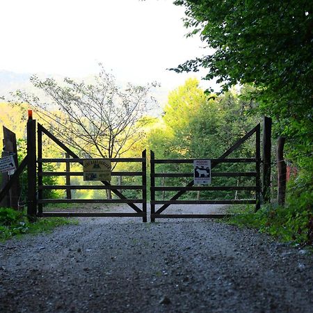 Апартаменти Eko Pony Ranch Ogrizek Подчетртек Екстер'єр фото