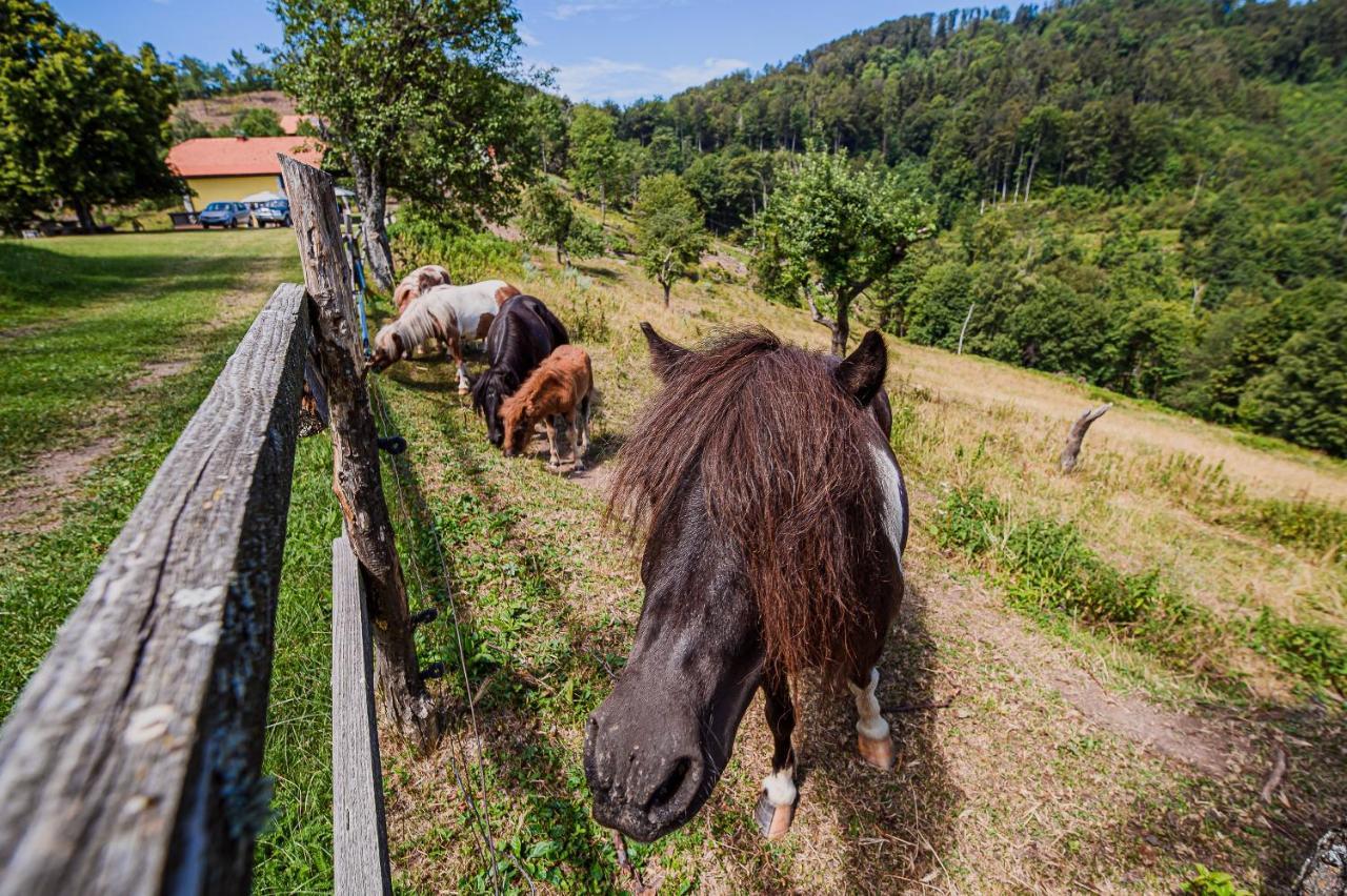 Апартаменти Eko Pony Ranch Ogrizek Подчетртек Екстер'єр фото