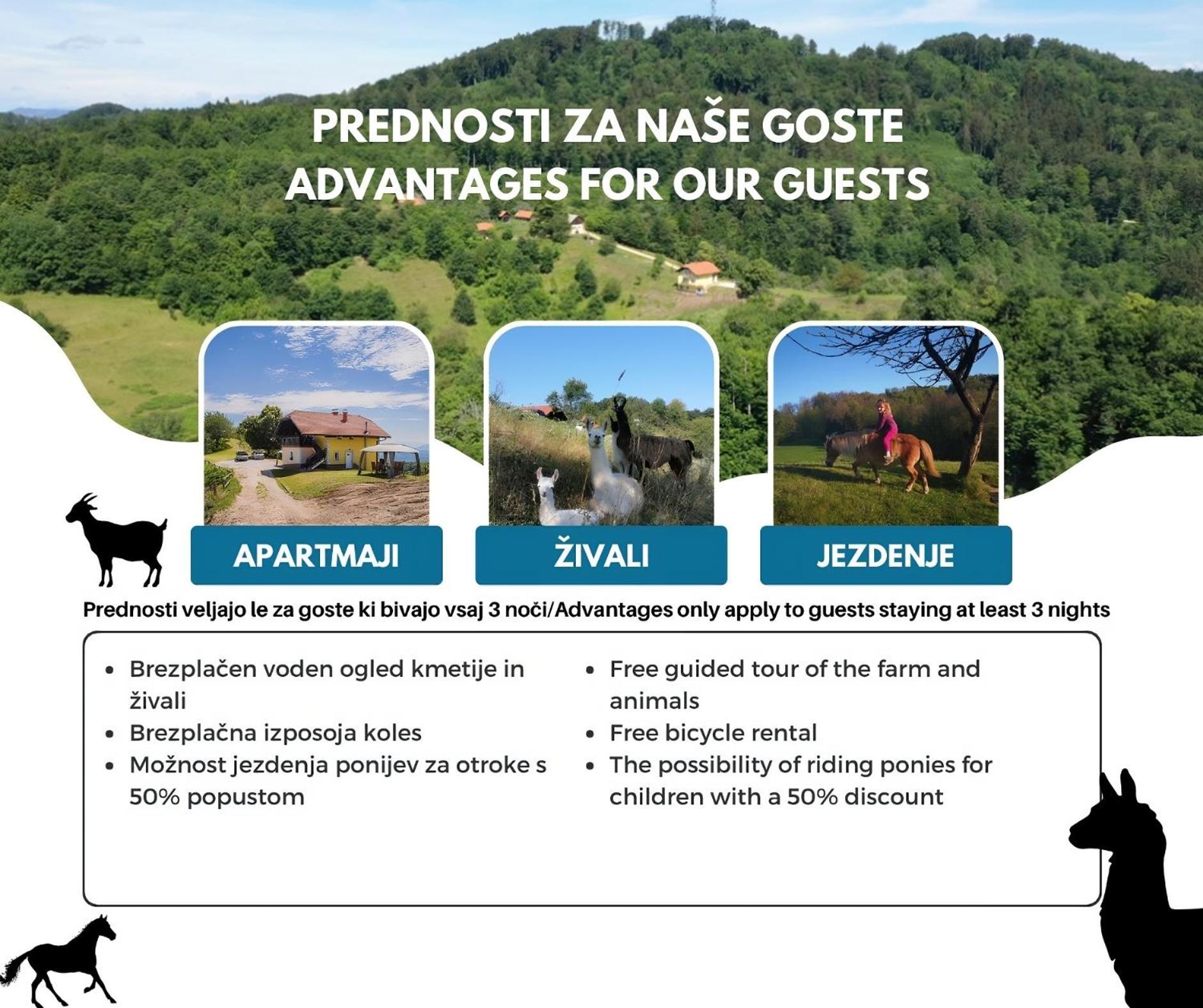 Апартаменти Eko Pony Ranch Ogrizek Подчетртек Екстер'єр фото